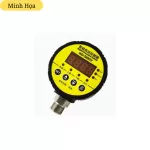 MD-S800V Đồng Hồ Đo Áp Suất 24V M20*1.5